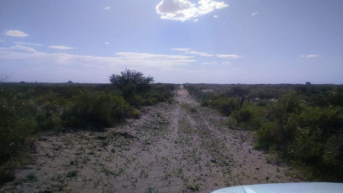 Campo 5000 Ha En El Dpto. Limay Mahuida- La Pampa