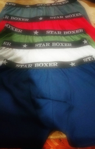 Boxer Caballero Econonico 