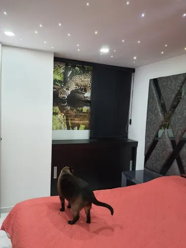Venta De Apartamento En Madera Con Excelentes Acabados