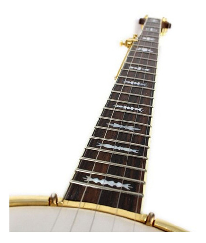 Imagen 4 de 9 de Banjo 5 Cuerdas Fender Fb59 Resonador De Nogal Escala 26.4