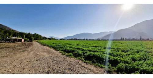 En Venta Terreno Agrícola De 4,5 Hectáreas, En Catemu.