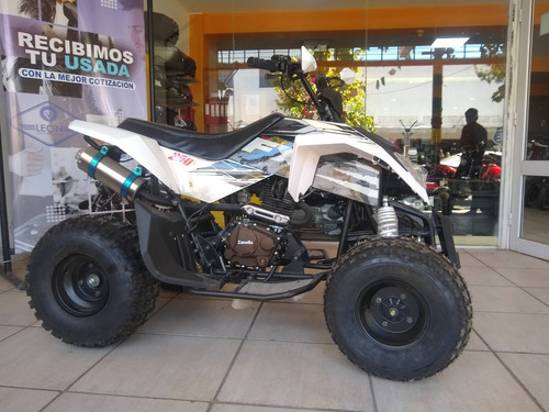 Imagen 2 de 16 de Zanella Fx 250 Mad Max $111.650 X 12 Cuotas