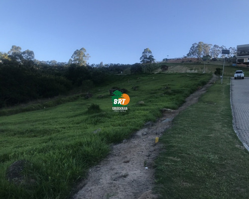 Imagem 3 de 8 de Terreno - Te00164 - 70456139