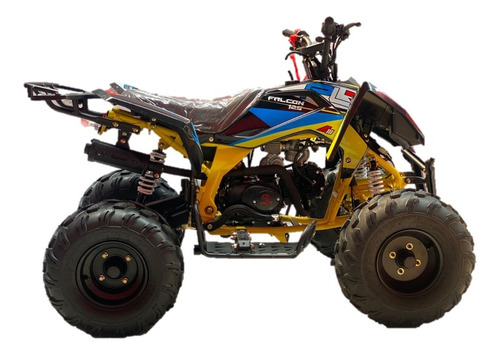 Imagen 7 de 14 de Cuatrimoto Moto Plr 125cc Raptor Motor 4t