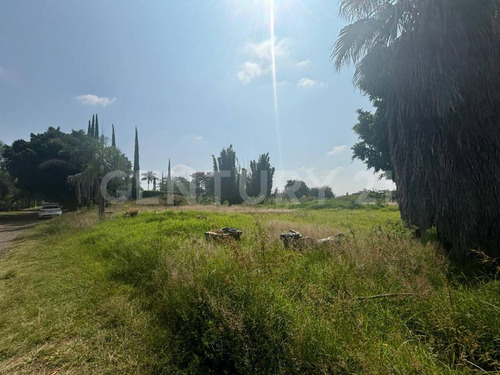 Lote Residencial En Fraccionamiento Los Cipreses, Tenextepec