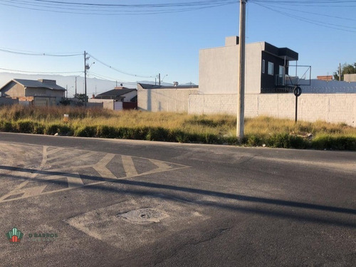 Imagem 7 de 8 de Terreno - 4919 - 69907108