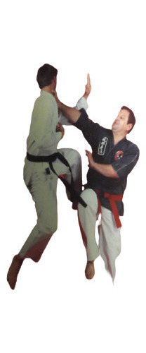 Kyusho Jitsu Dillman Method Pressure Point Fighting Ingles 