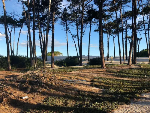 Magnifico Terreno Sobre La Playa De El Pinar