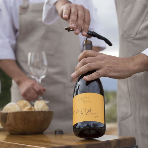 Imagen 2 de 10 de Vino Zuccardi Emma Bonarda 750ml. - Valle De Uco