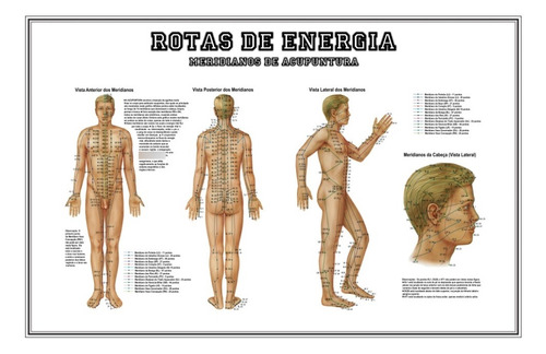 Mapa Ultra Grande 90x140cm Acupuntura Rotas Da Energia