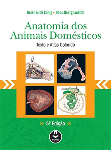 Anatomia Dos Animais Domésticos