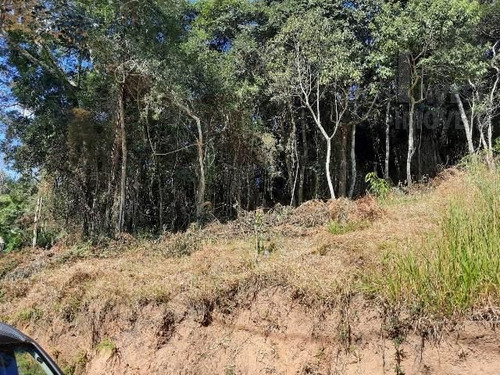 Imagem 3 de 3 de Cod 5697 - Terreno De 1.129m² Dentro De Loteamento!! - 5697