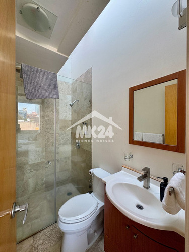 Pent-house Amueblado Y Equipado Con Roof Garden En La Colonia Del Valle Sur