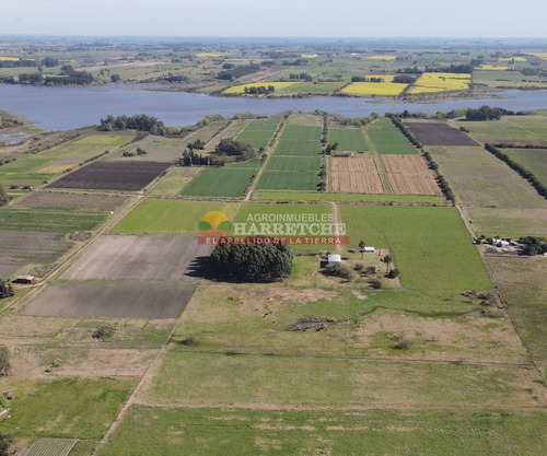 Campo En Venta 18 Has Canelones, Con Todas Las Instalaciones!