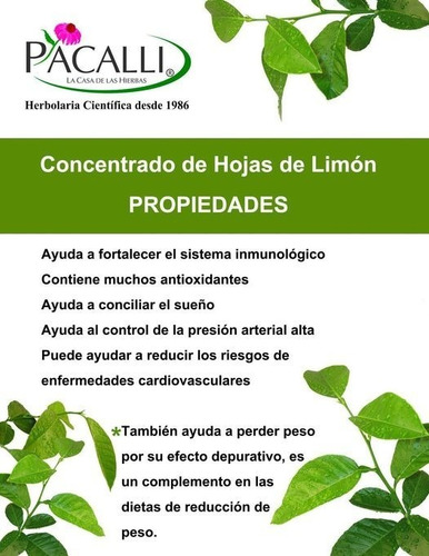 Hojas De Limón Fresco, 150 Gr.