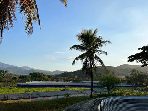 Imagen 11 de 15 de Rp Vende Finca Granja Avícola, Miranda, Estado Carabobo Rp 185.862