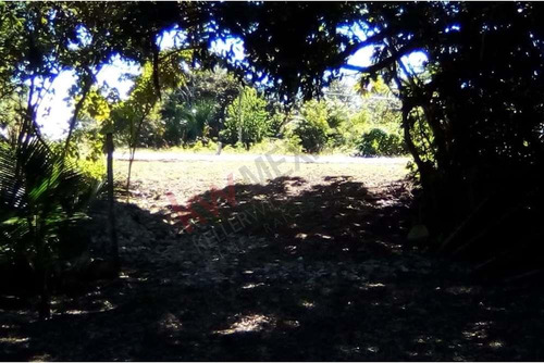Lote En Venta En Bacalar - Uso De Suelo Mixto - Frente A Carretera Federal 307 - En Esquina - A ...