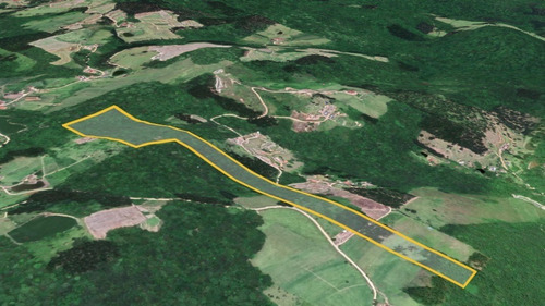 Imagem 11 de 12 de Terreno Rural 10 Hectares Entre Grão Pará E Braço Do Norte