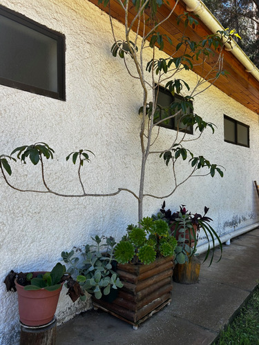 Parcela En Venta Algarrobo