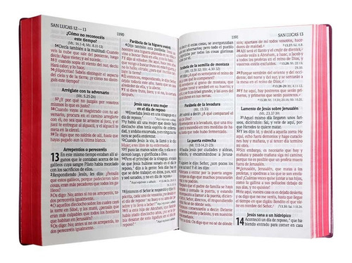Imagen 6 de 10 de Biblia Reina-valera 1960 Letra Gigante Vinil Color Vino