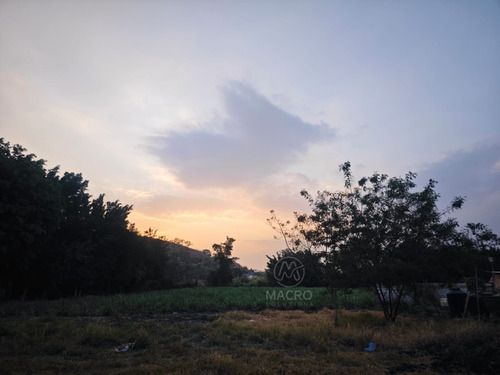 Terreno En Venta En Col. 3 De Mayo
