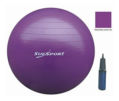 Aerobics Fitness Suesport Juego Bola Ejercicio