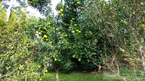 Chácara Para Venda Em Itariri, Ana Dias, 3 Dormitórios, 2 Suítes, 1 Banheiro, 6 Vagas - 2714_2-966820