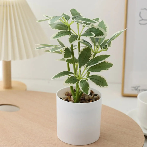 Plantas Artificiales En Maceta Schefflera Octophylla