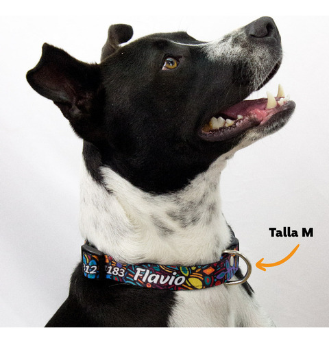 Collar Ajustable Mascotags Para Perro Personalizado