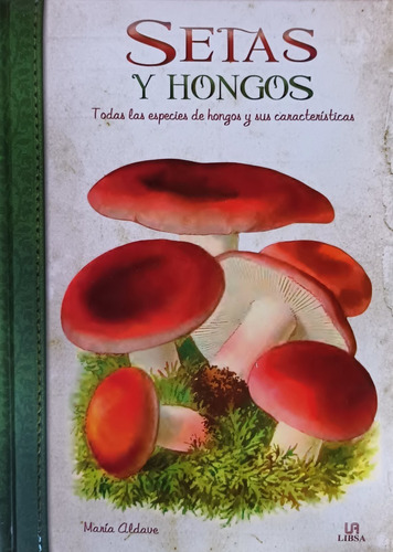 Setas Y Hongos: Todas Las Especies De Hongos .