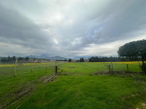 Terrenos 5.000mts2 Rol Propio Limache Sector Los Laureles