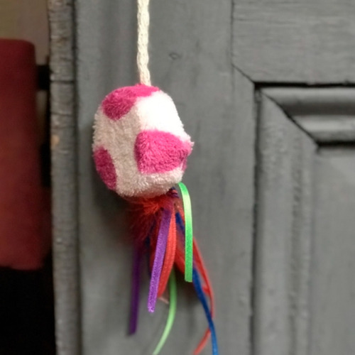 Imagen 4 de 5 de Juguete Para Gatos Atrapasueños Mandala Divertidos