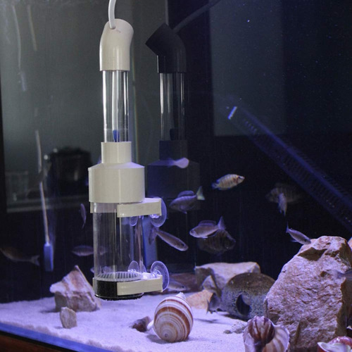 Incubadora De Huevos Peces Cíclidos Africanos Pecera Acuario