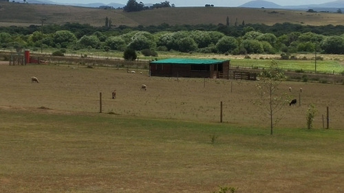 Chacra Con Muy Buena Casa Con Piscina
