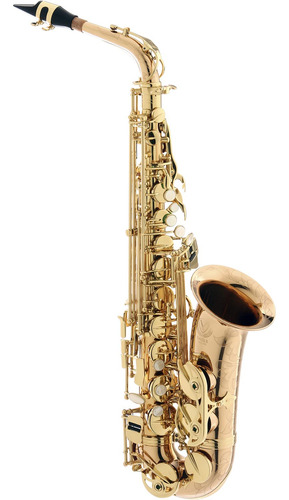 Saxofone Eagle Sax510 Alto Mib Laqueado C/ Estojo