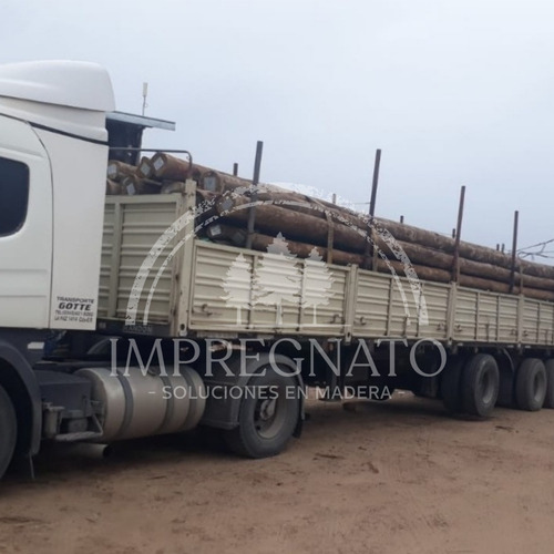 Poste Impregnado Cca 3m Ø14-16cm Palo Eucalipto Tijera