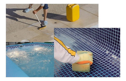 Clean All Limpiador Para Piscina Y Albercas De 1 Litro