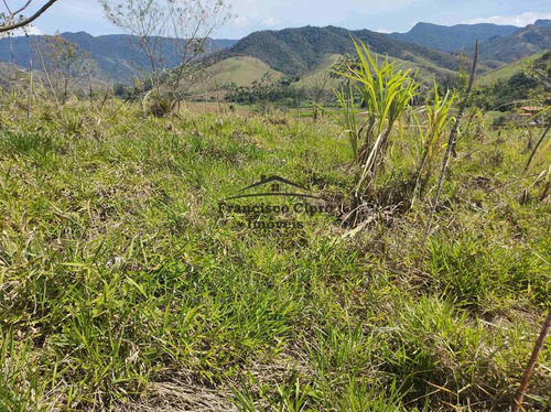 Imagem 6 de 19 de Terreno À Venda No Bairro Pilões - Guaratinguetá/sp - Tr010-1