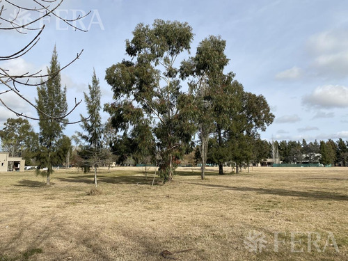Imagen 2 de 7 de Venta De Terreno En Club Miralagos 2 (28330)