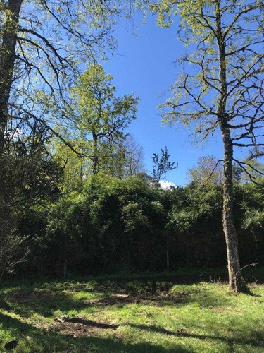 Rupanco 5.000 M2 // Exclusivo Proyecto (99135)