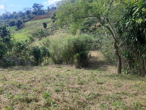 Imagen 12 de 14 de Se Vende Terreno Con 2 Apartamentos