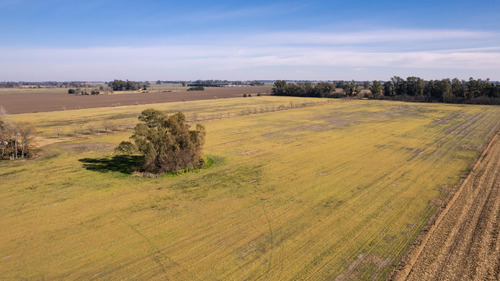 Campo En Venta 25ha En San Andres De Giles