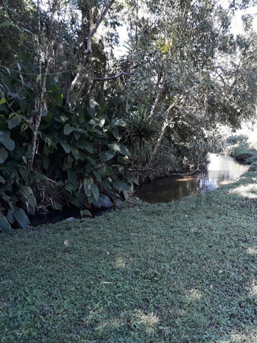 Imagem 13 de 15 de Chácara Em Formação, Com Lindo Lago Cheio De Peixes. Excelente Para Lazer!! - 405 - 70066716