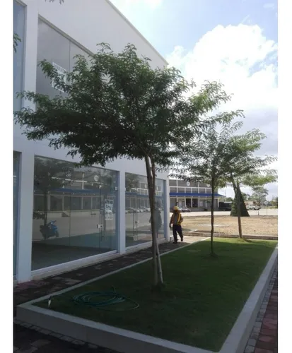 Vende - Arrienda Local, En San Jerónimo