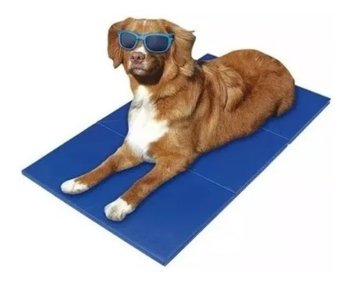 Manta Refrescante Pet Cool Mat Para Mascotas Talla L
