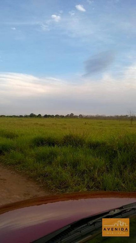 Imagem 2 de 7 de Área Rural À Venda, Fazenda Velha, Nova Odessa. - Ar0018