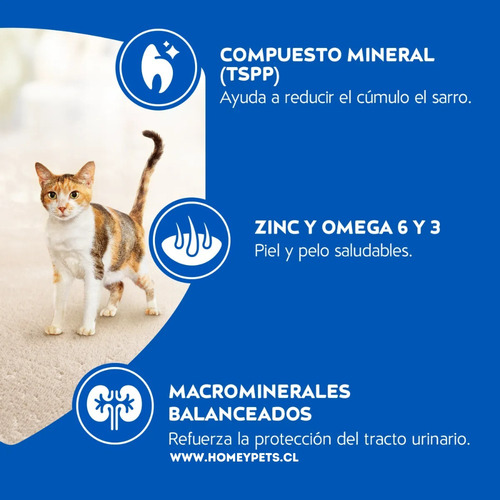 Purina Alimento Gato Adulto Relleno Delimix 19,5 Kg