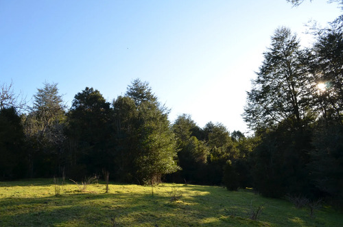 Terreno Con Bosque Nativo, Bosque De Arrayanes Y Riachuelo