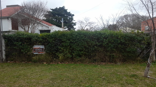 Imagen 1 de 5 de Lote / Terreno Zona Oeste