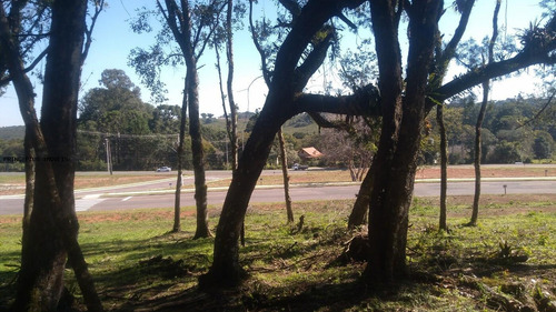 Imagem 14 de 15 de Terreno Para Venda Em Campina Grande Do Sul, Novo Daher - 00283b8_2-1195590